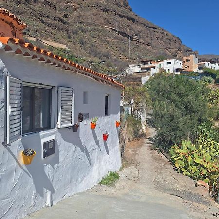 Casa Rural Los Pinares El Juncal De Tejeda Esterno foto