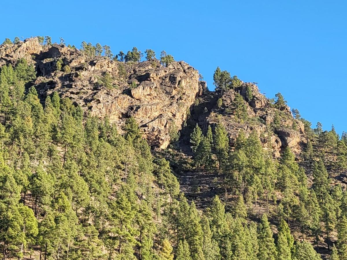 Casa Rural Los Pinares El Juncal De Tejeda Esterno foto