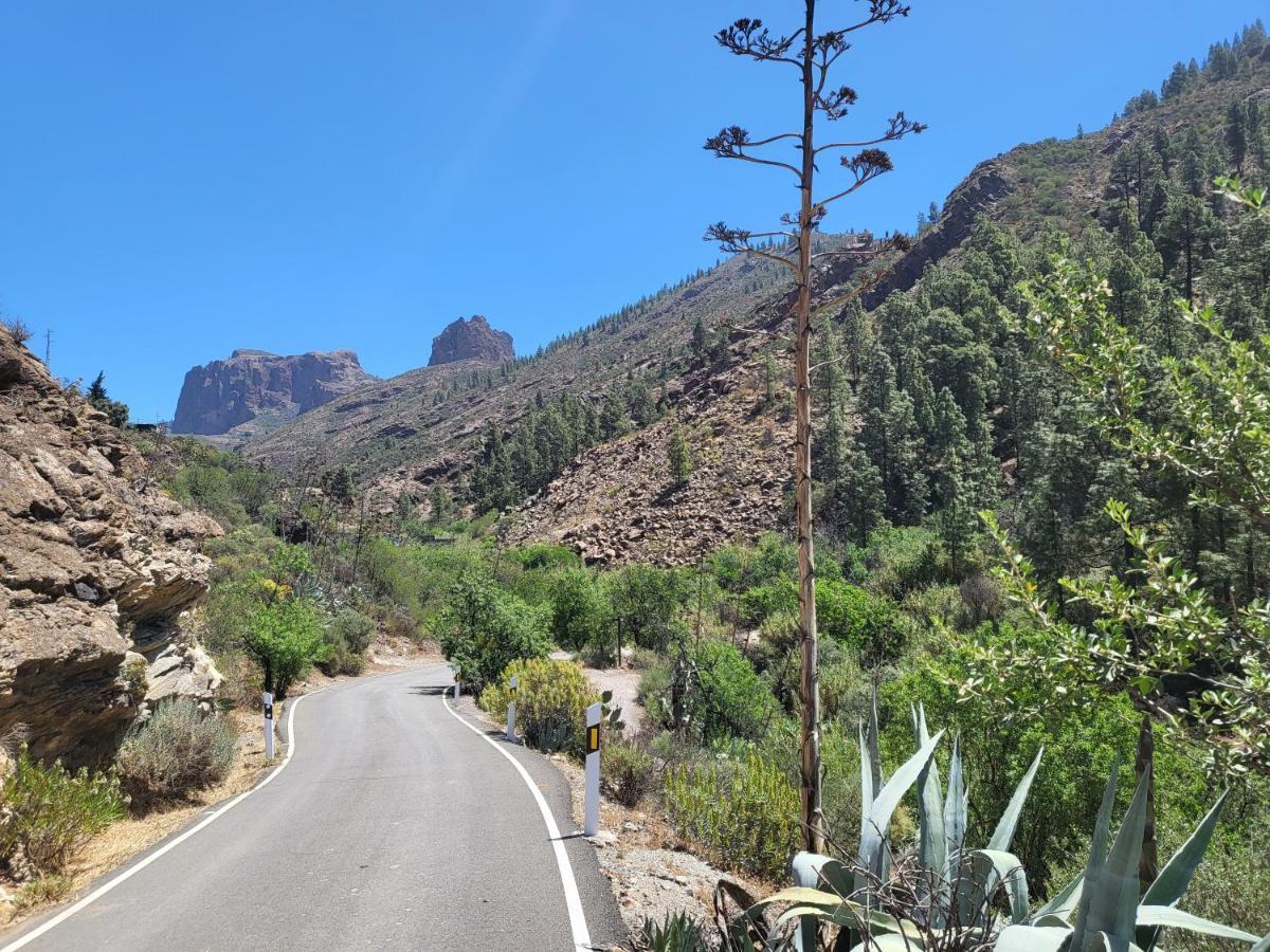 Casa Rural Los Pinares El Juncal De Tejeda Esterno foto