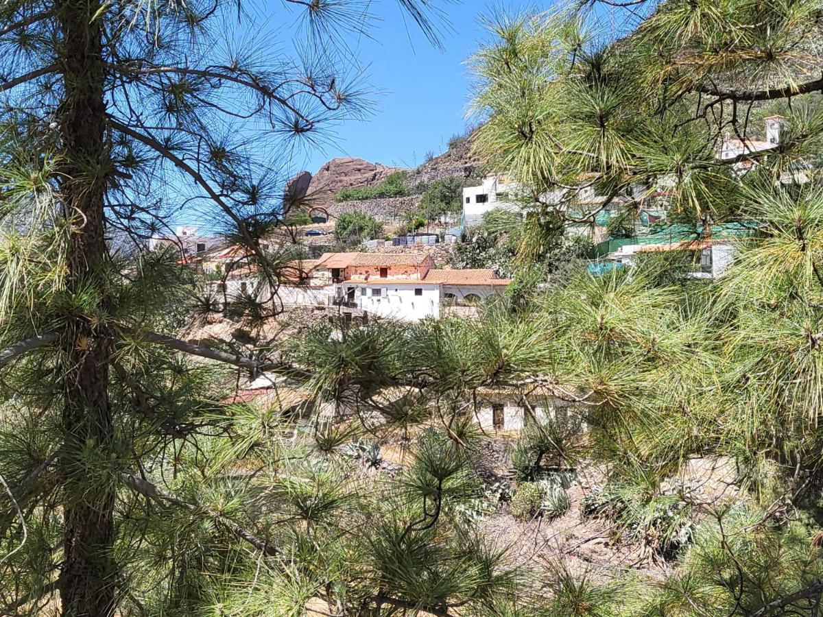 Casa Rural Los Pinares El Juncal De Tejeda Esterno foto