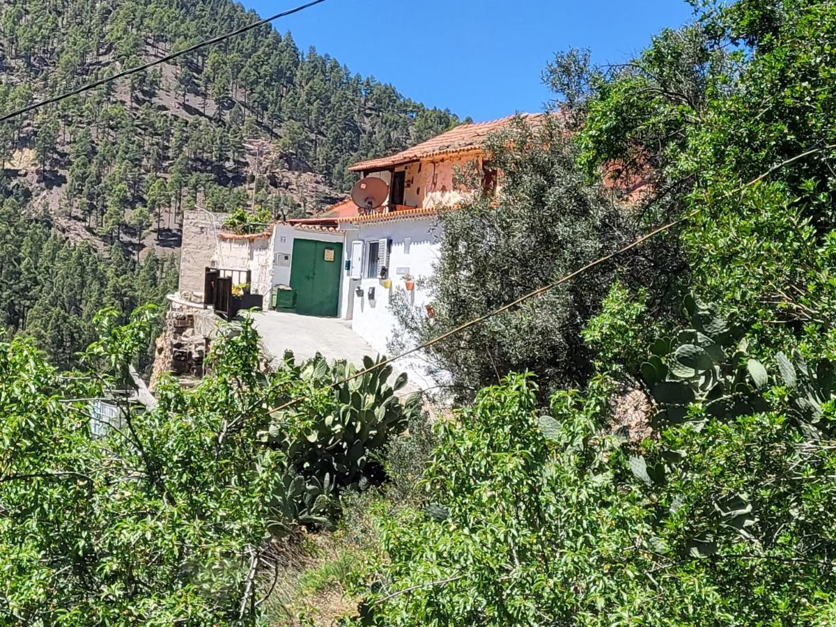 Casa Rural Los Pinares El Juncal De Tejeda Esterno foto