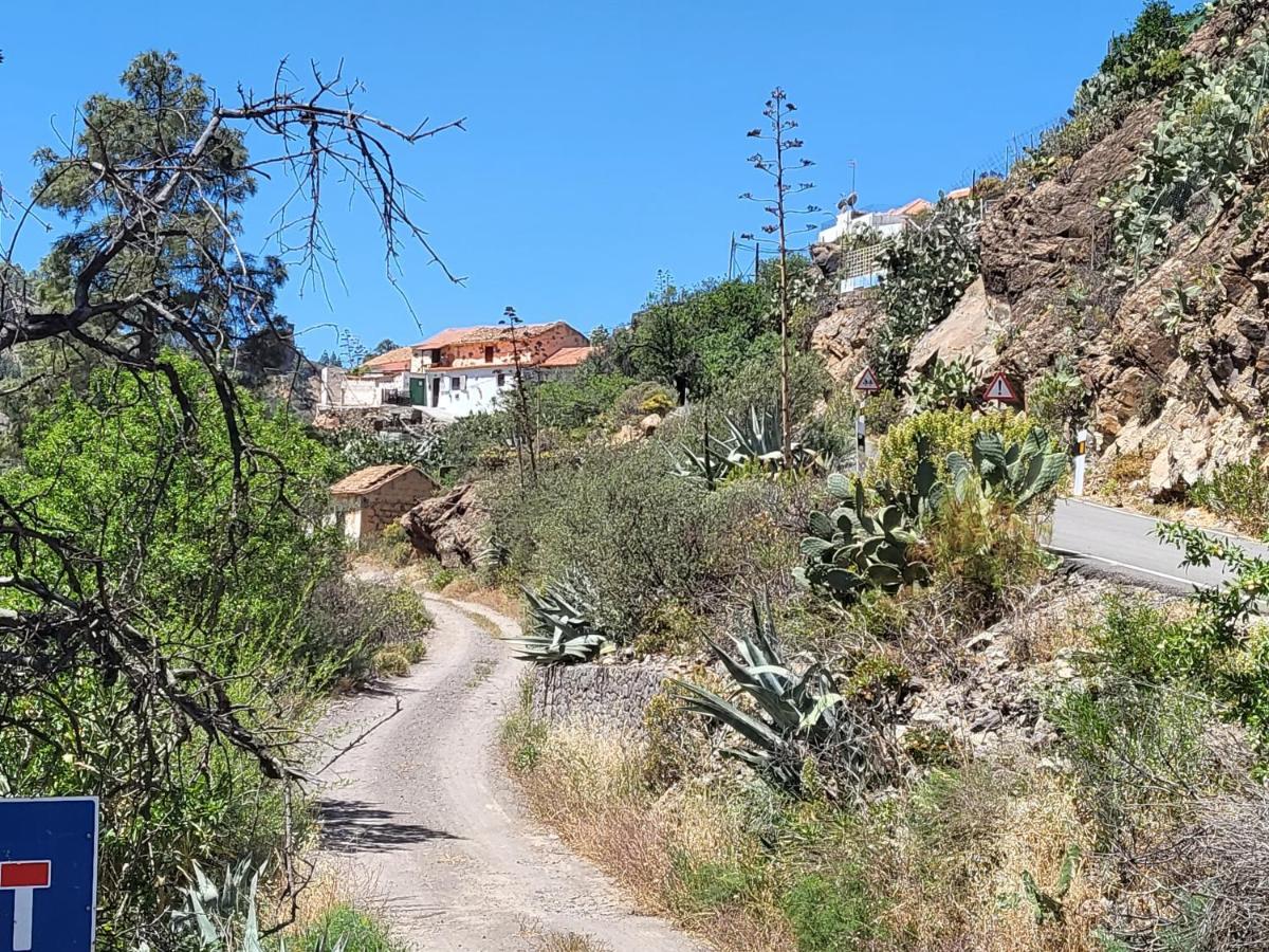 Casa Rural Los Pinares El Juncal De Tejeda Esterno foto