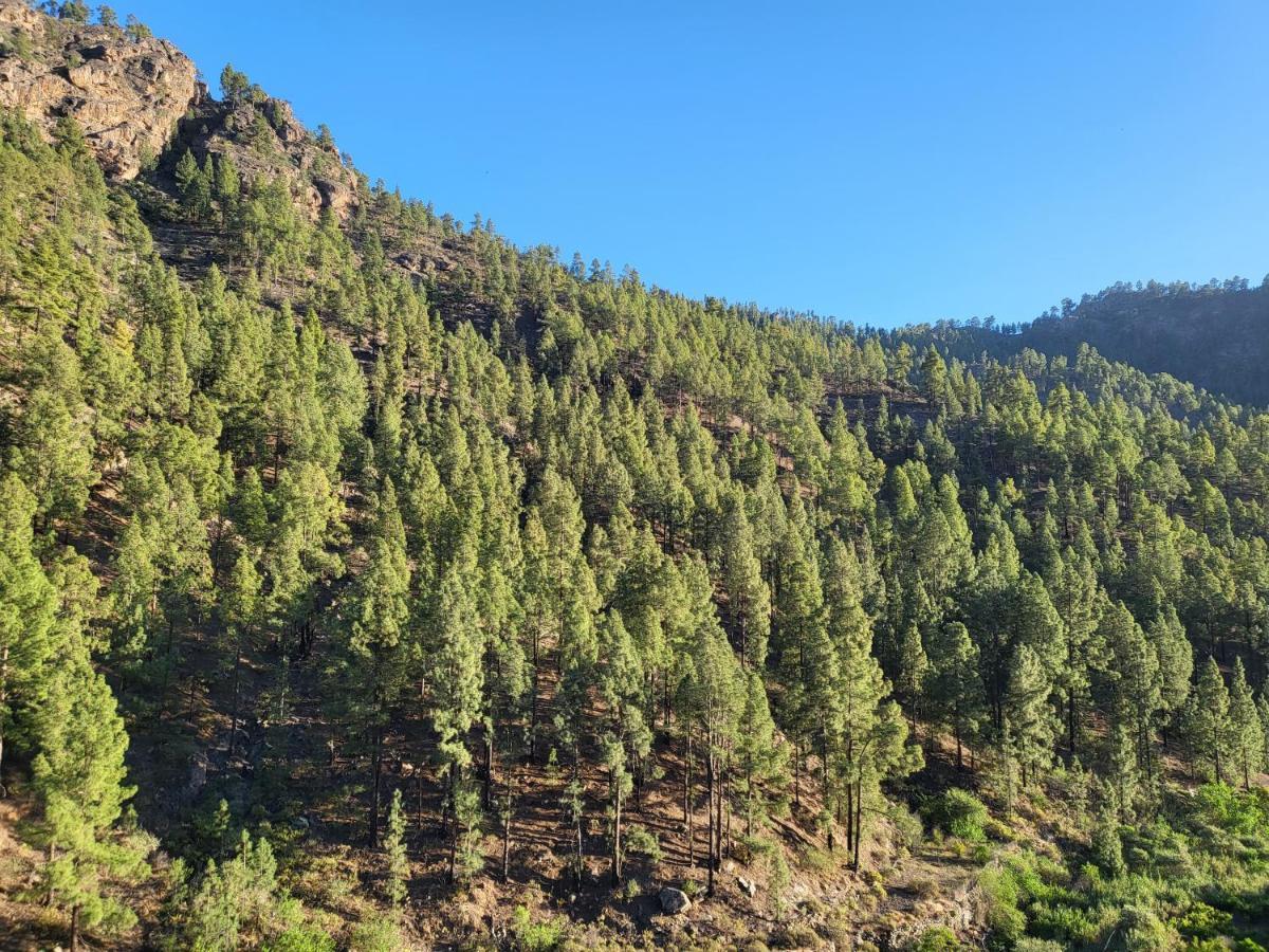 Casa Rural Los Pinares El Juncal De Tejeda Esterno foto