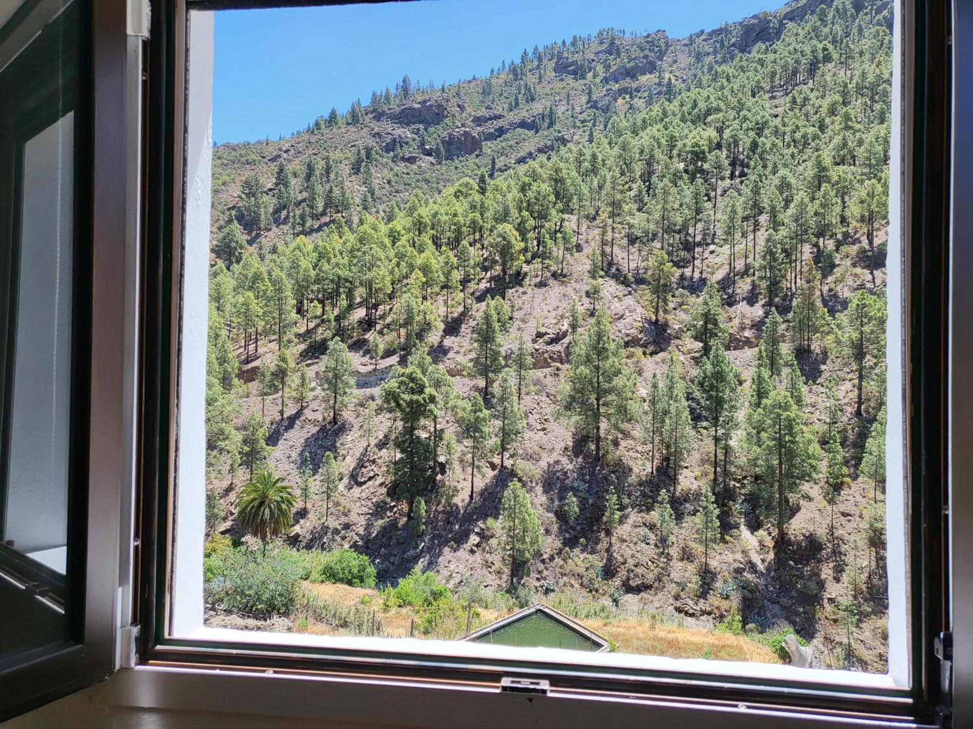 Casa Rural Los Pinares El Juncal De Tejeda Esterno foto